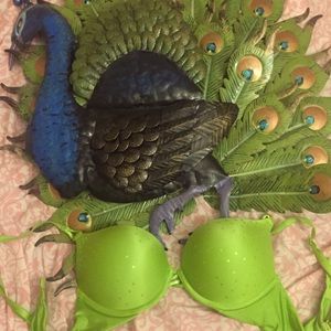 VS miraculous bra 34A